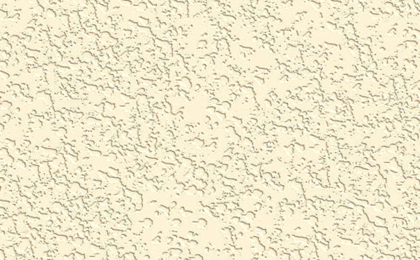 硅藻泥.png