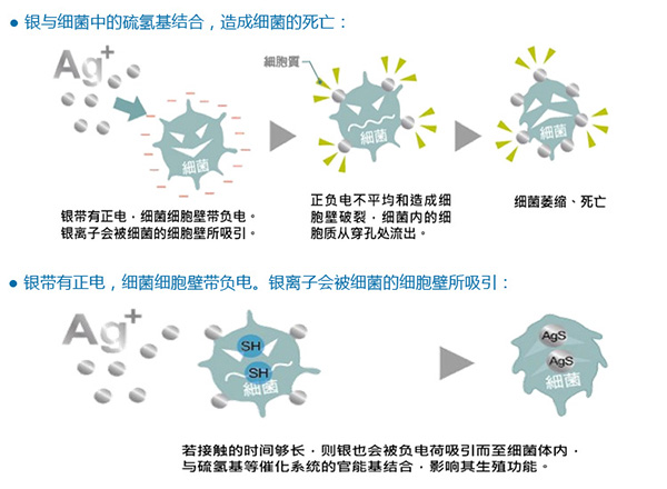 銀離子殺菌.png